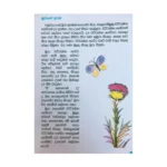 කුහුඹියා සහ අජටාකාශගාමියා - Kuhubiya saha Ajatakashagamiya - Image 4